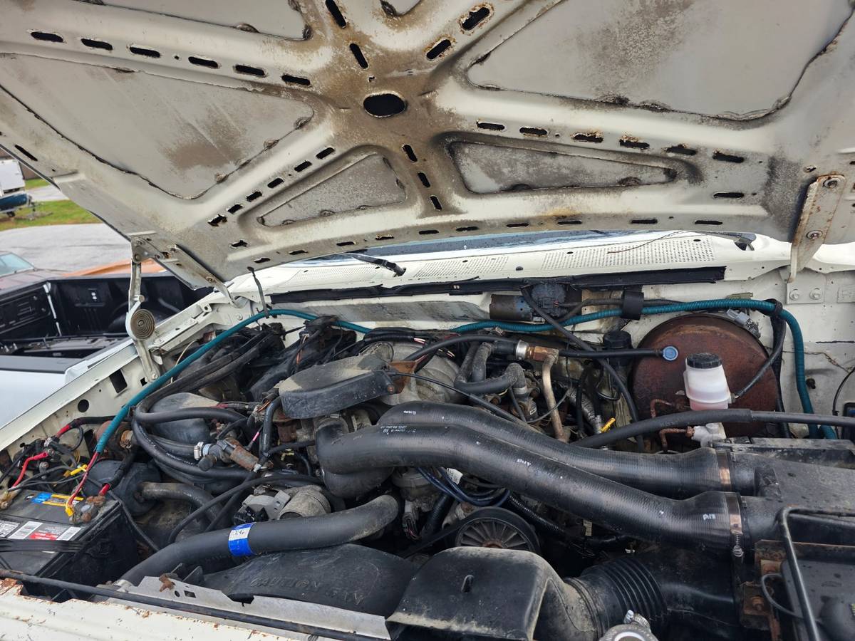 Ford-f-250-1989-white-15