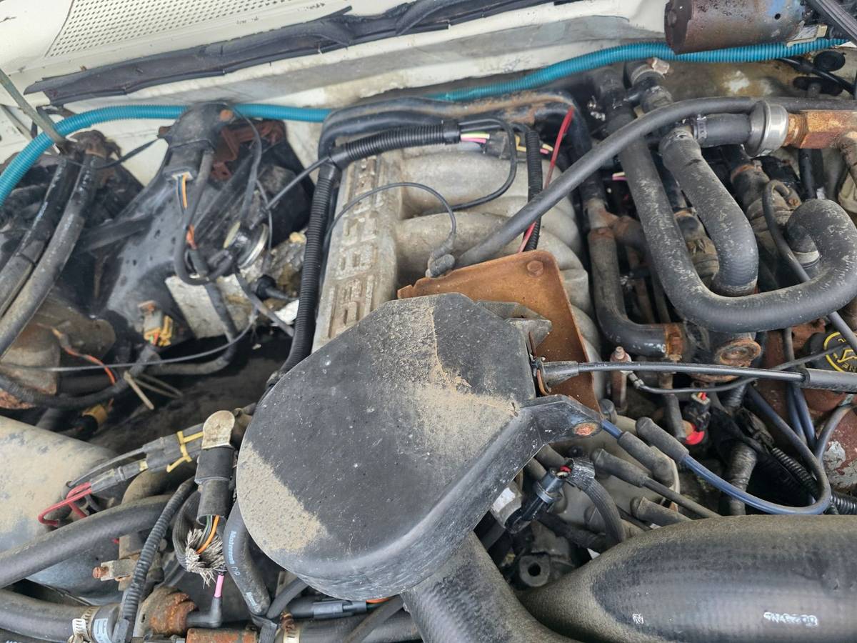 Ford-f-250-1989-white-16