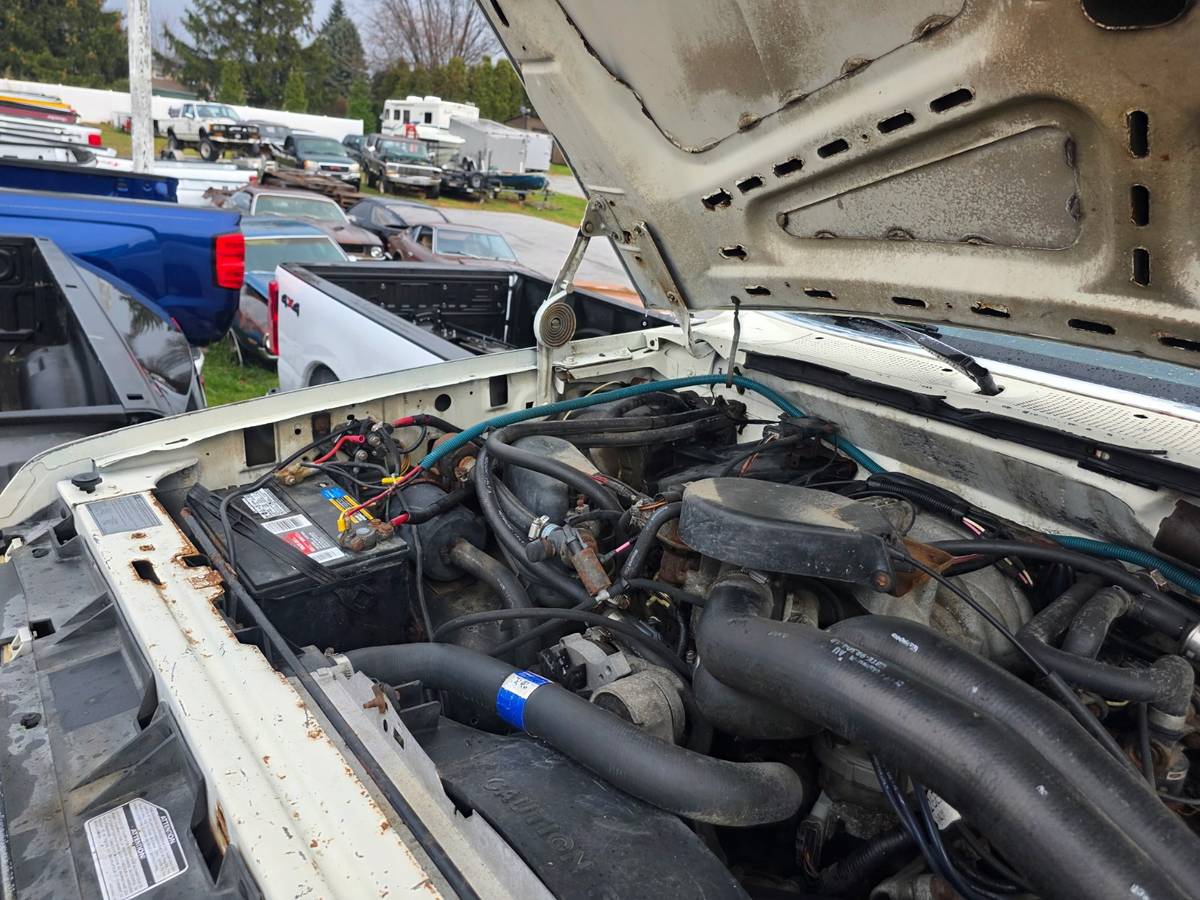 Ford-f-250-1989-white-3