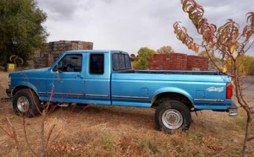 Ford-f-250-1992-blue-1