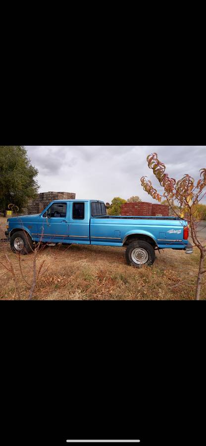 Ford-f-250-1992-blue-1
