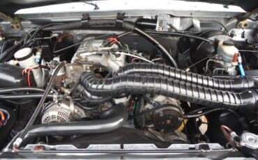 Ford-f-250-1994-grey-13