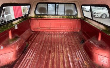 Ford-f-250-1995-brown-7