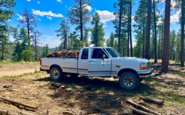 Ford-f-250-diesel-1995-white-2
