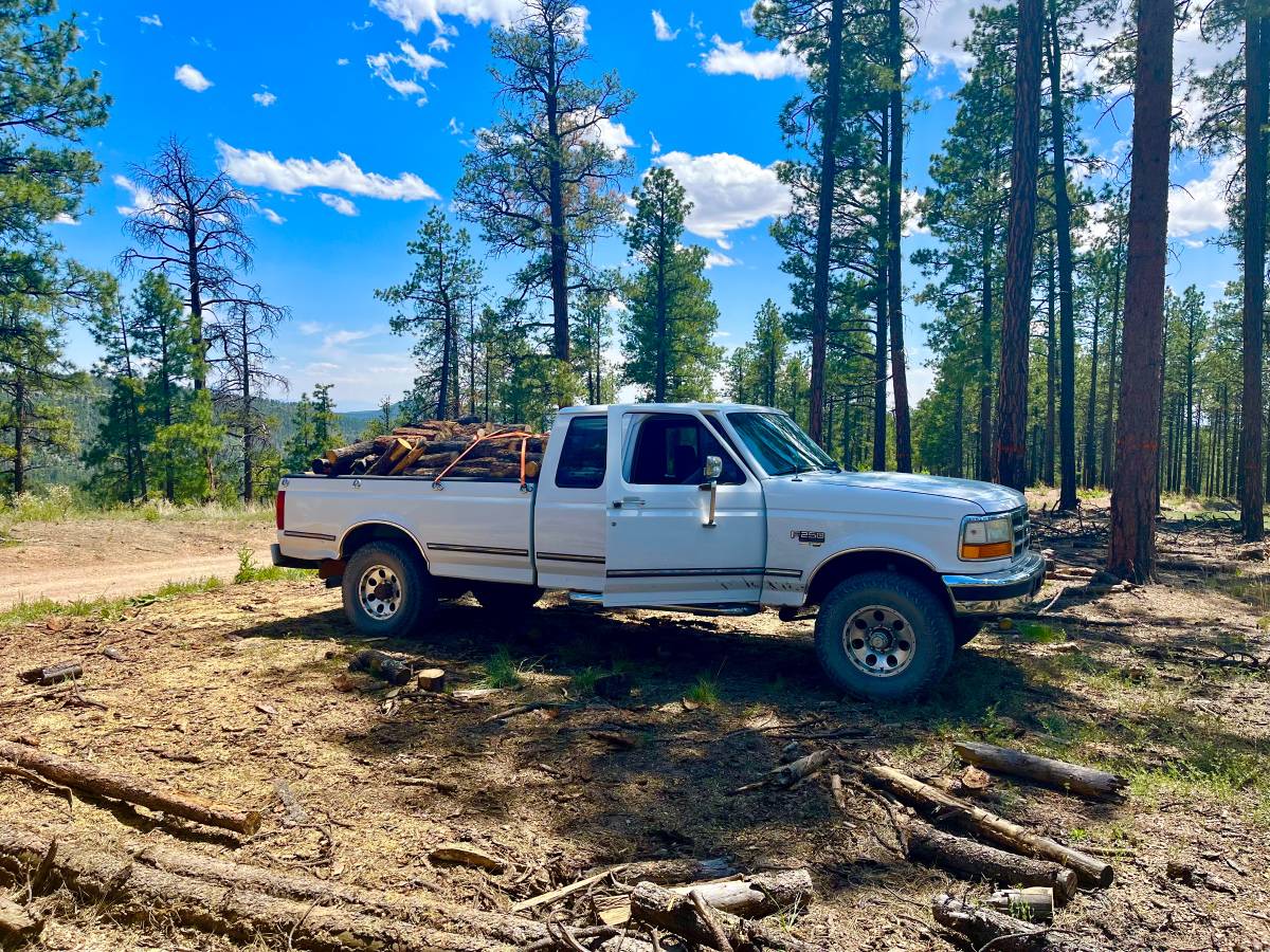 Ford-f-250-diesel-1995-white-2