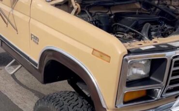 Ford-f-350-1986-brown-3