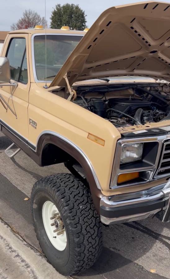 Ford-f-350-1986-brown-3