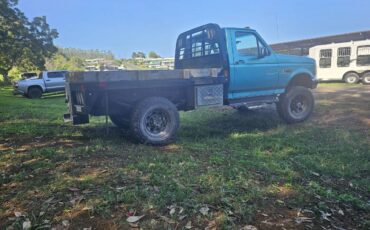 Ford-f-350-diesel-1995-custom-3