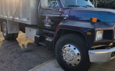 Ford-f-800-1984-black