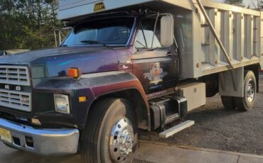 Ford-f-800-1984-black-4