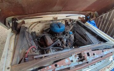 Ford-f100-pickup-1965-1