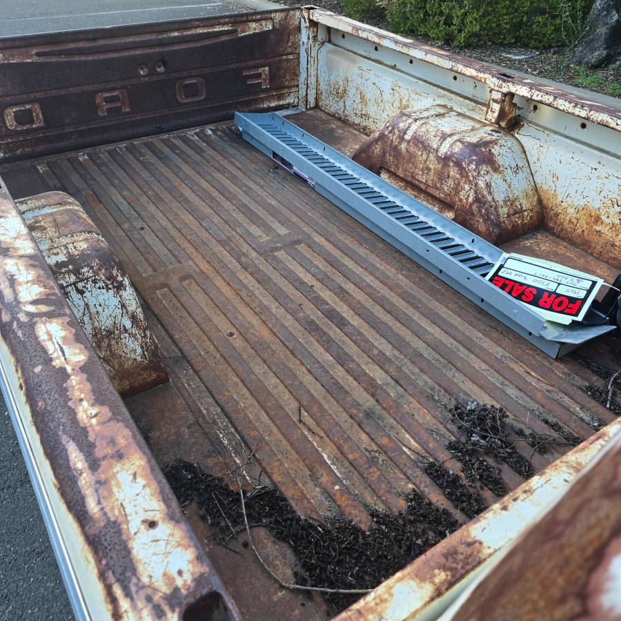 Ford-f100-pickup-1965-white-5