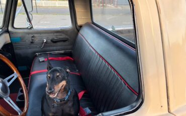 Ford-f100-pickup-1966-custom-4