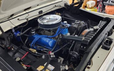 Ford-f100-pickup-1970-blue-4