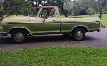 Ford-f100-pickup-1976-green-1