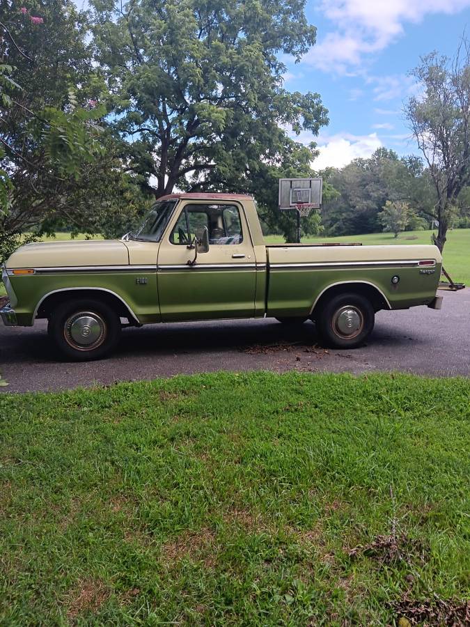 Ford-f100-pickup-1976-green-1
