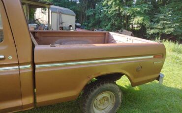 Ford-f100-ranger-custom-4x4-1973-brown-1