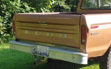 Ford-f100-ranger-custom-4x4-1973-brown-10