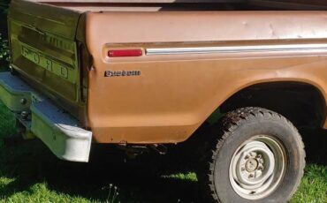 Ford-f100-ranger-custom-4x4-1973-brown-11