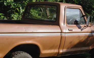 Ford-f100-ranger-custom-4x4-1973-brown-12