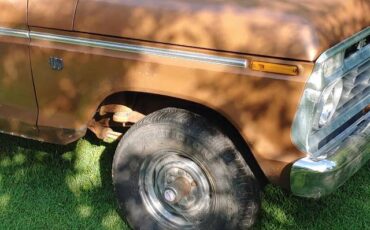 Ford-f100-ranger-custom-4x4-1973-brown-14