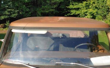 Ford-f100-ranger-custom-4x4-1973-brown-15