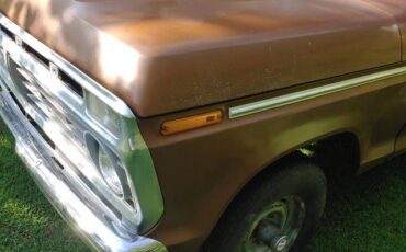Ford-f100-ranger-custom-4x4-1973-brown-16