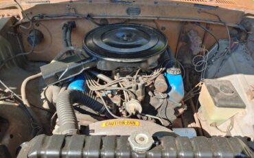 Ford-f100-ranger-custom-4x4-1973-brown-20