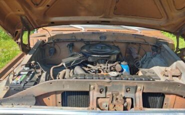 Ford-f100-ranger-custom-4x4-1973-brown-21