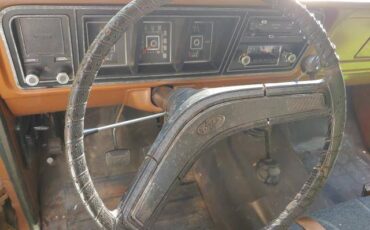 Ford-f100-ranger-custom-4x4-1973-brown-23