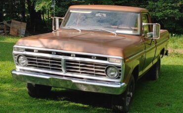 Ford-f100-ranger-custom-4x4-1973-brown-3