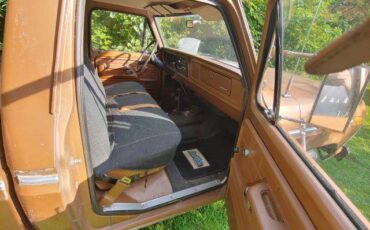 Ford-f100-ranger-custom-4x4-1973-brown-4