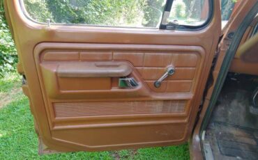 Ford-f100-ranger-custom-4x4-1973-brown-5