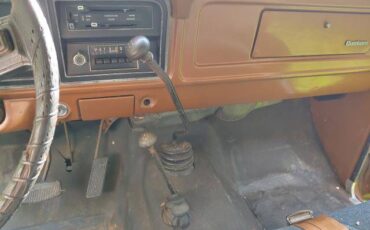 Ford-f100-ranger-custom-4x4-1973-brown-6