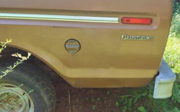 Ford-f100-ranger-custom-4x4-1973-brown-7