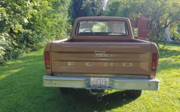 Ford-f100-ranger-custom-4x4-1973-brown-8