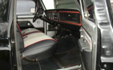 Ford-f150-1978-black-4