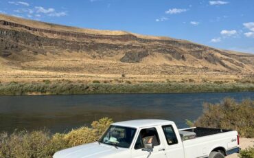 Ford-f150-1992-white