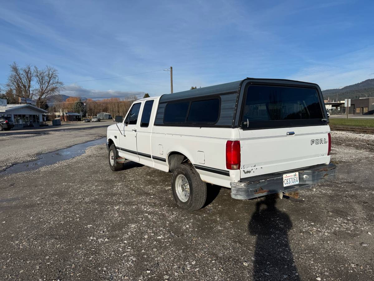 Ford-f150-1994-white-4