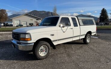 Ford-f150-1994-white-8