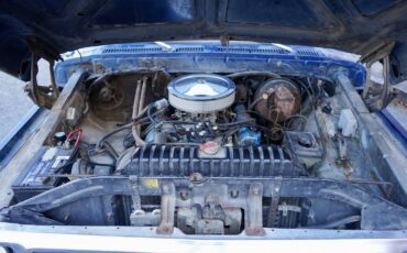 Ford-f150-4x4-1979-blue-2