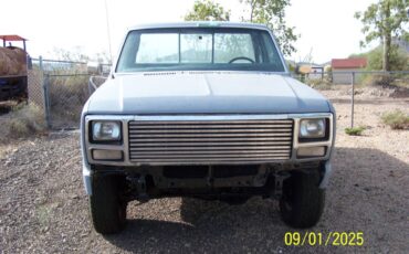 Ford-f150-4x4-1980