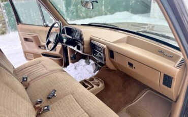 Ford-f150-xlt-lariat-long-bed-1990-brown-20