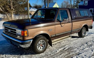 Ford-f150-xlt-lariat-long-bed-1990-brown-23