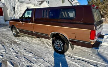 Ford-f150-xlt-lariat-long-bed-1990-brown-24