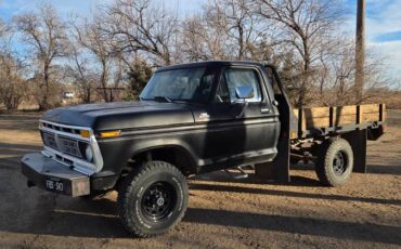 Ford-f250-1977-black-18