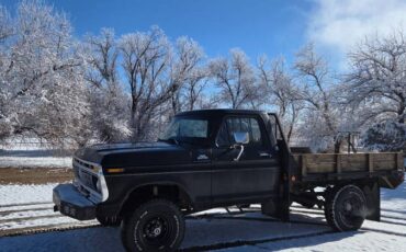 Ford-f250-1977-black-9