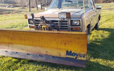 Ford-f250-1984-brown-1