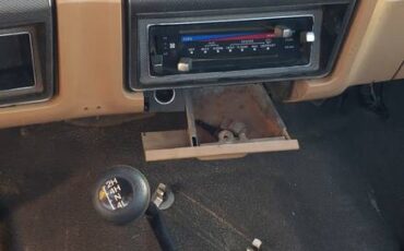 Ford-f250-1984-brown-3