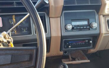 Ford-f250-1984-brown-4